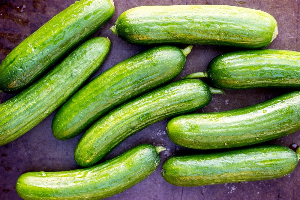 Grilled Cucumber with Pickled Feta Dip-7852