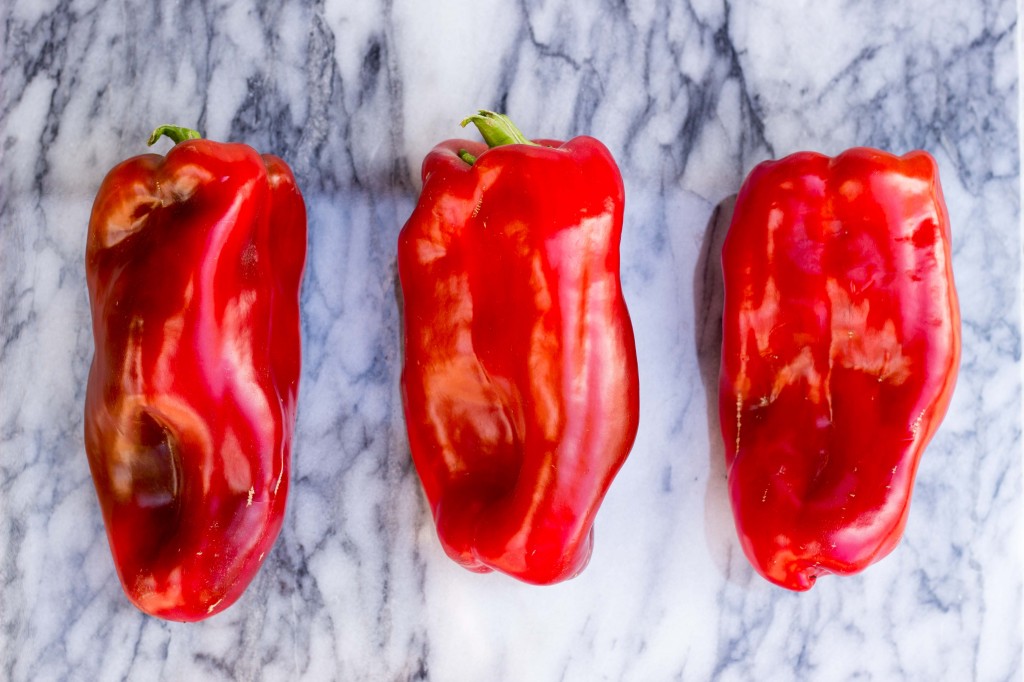 Roasted Red Pepper Enchilada Sauce-8428