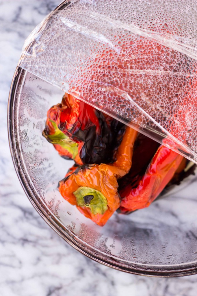 Homemade Roasted Red Pepper Enchilada Sauce {gf+v} She Likes Food