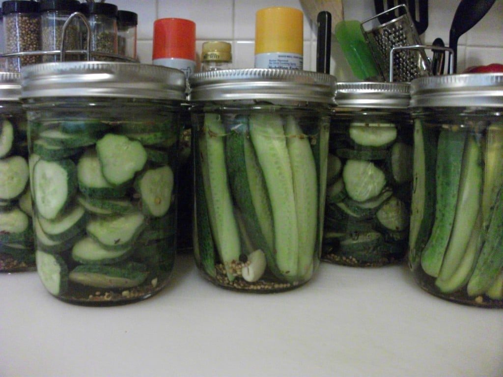pickles 008