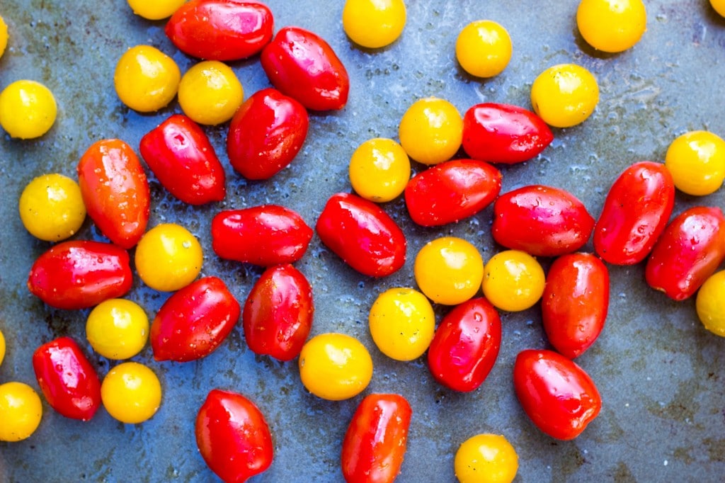 Basil & Roasted Garlic Ricotta Pizza with Arugula & Balsamic Reduction-8726