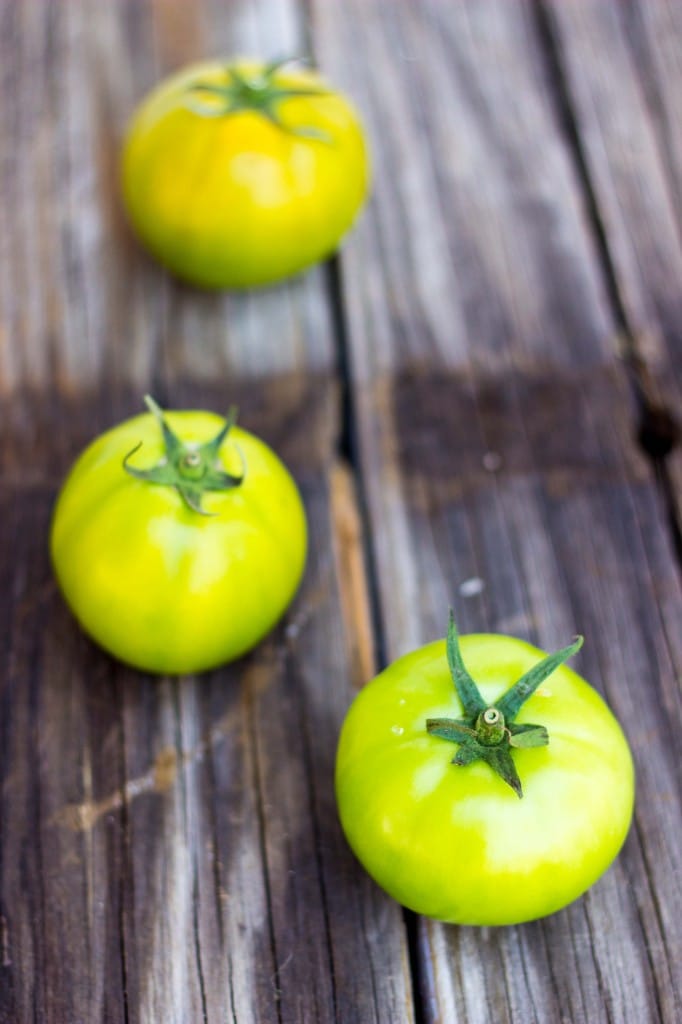 Green Tomato Southwest Panzanella Salad with Cilantro Lime Vinatgrette-9548