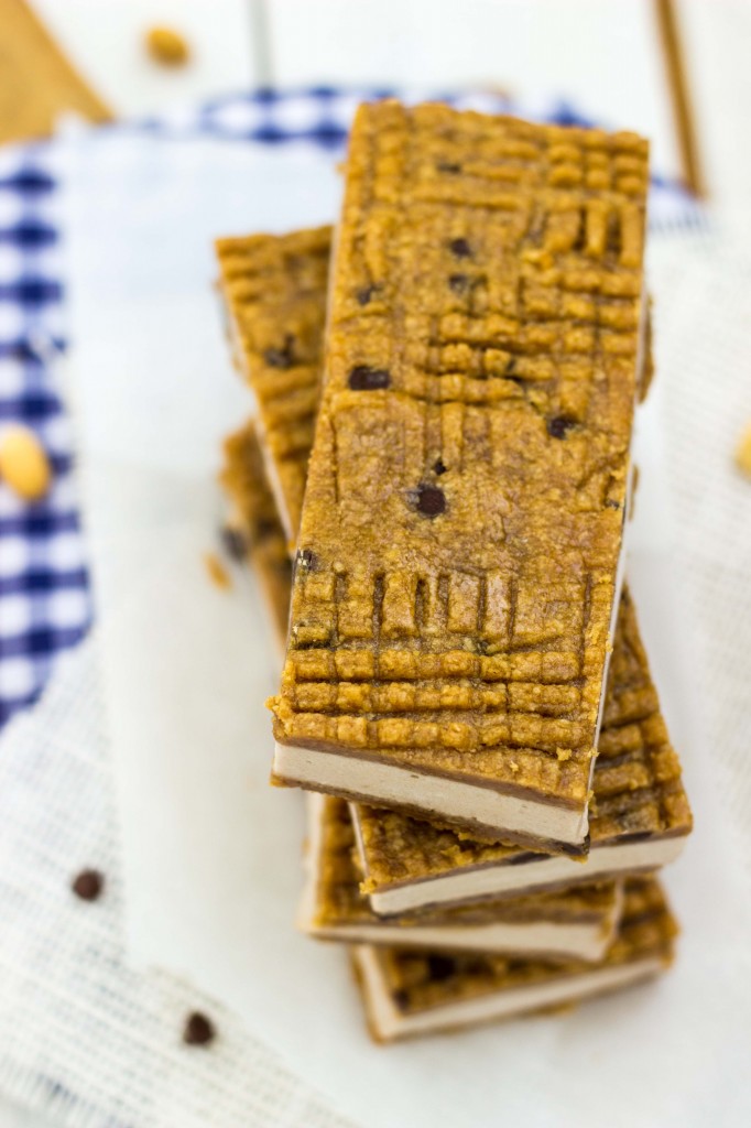 Peanut Butter & Banana Ice Cream Sandwiches-0497
