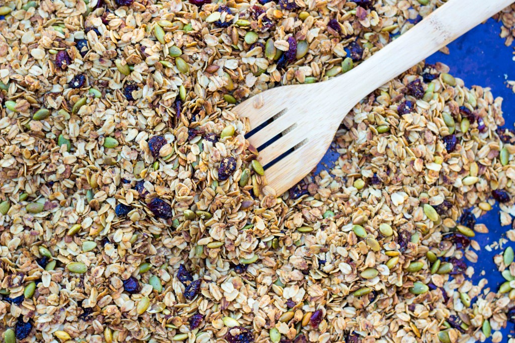 Pumpkin Spiced Granola with Pepitas & Dried Cranberries-4762