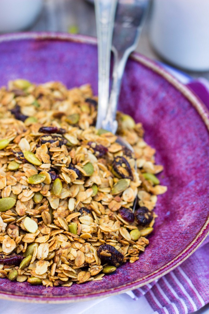 Pumpkin Spiced Granola with Pepitas & Dried Cranberries-4791