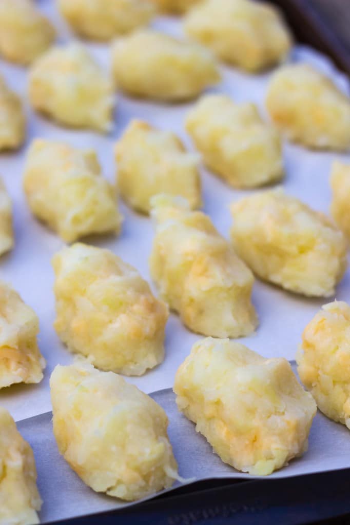 Baked Tater Tots with Smoked Gouda & Green Apple-5069