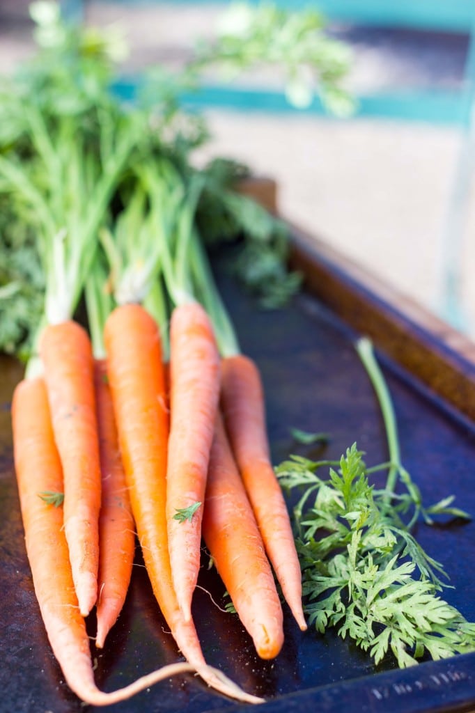 Curried Sweet Potato, Carrot & Red Lentil Soup-5679