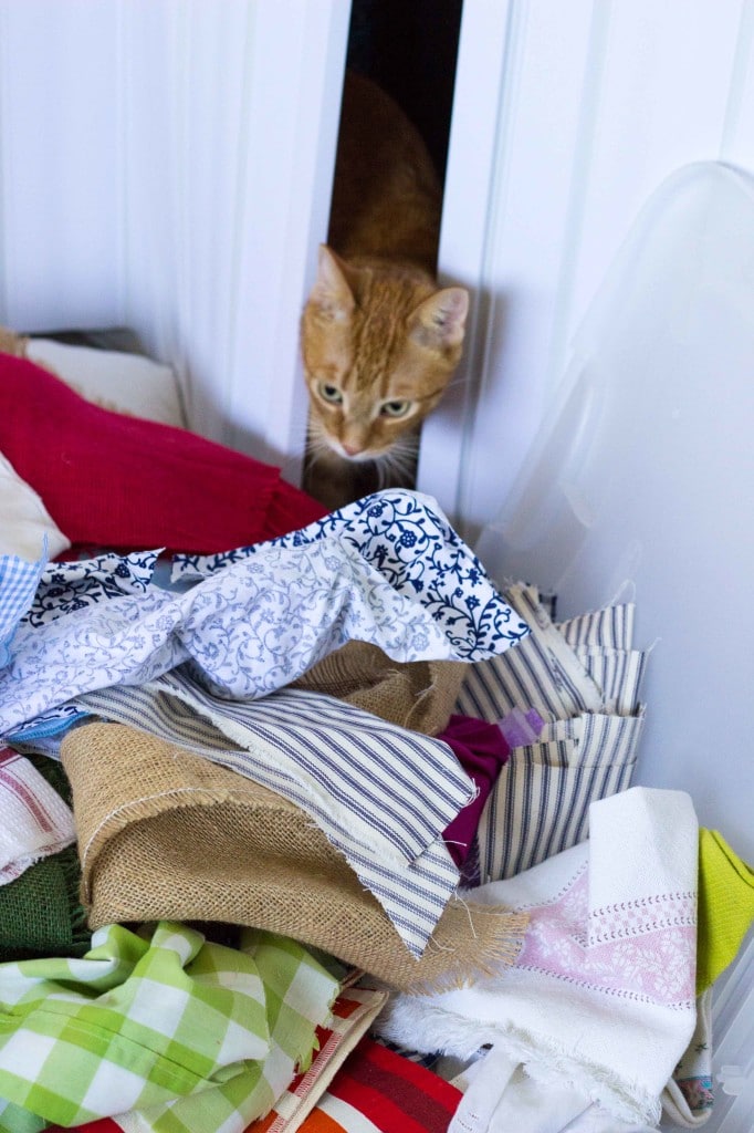 Roasted Broccoli & Lemon Hummus-5665
