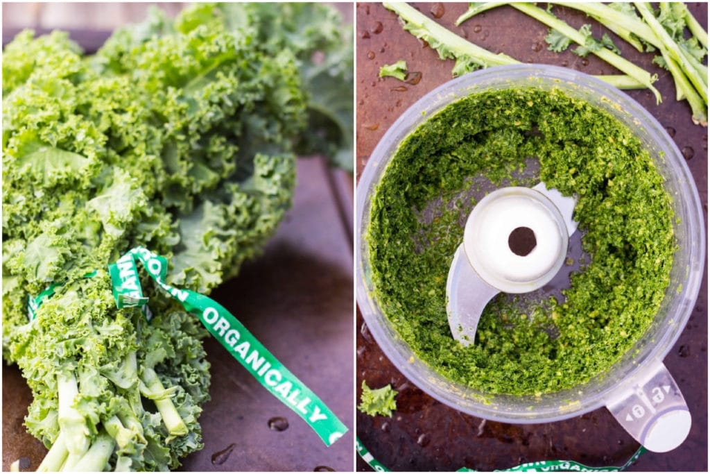 a bunch of organic kale and a batch of kale pesto in a food processor