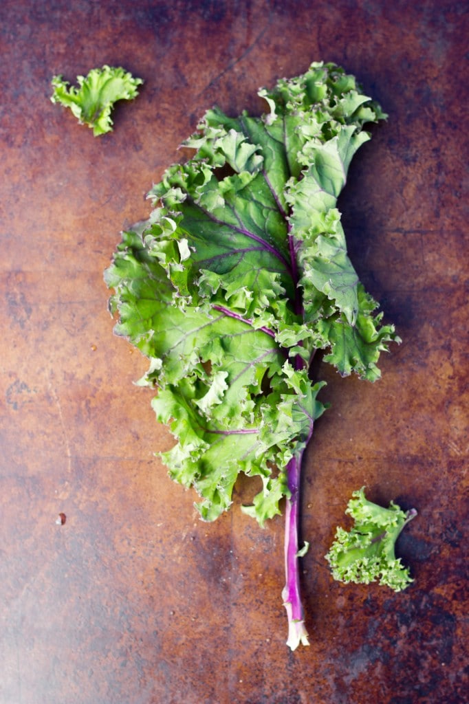 Refreshing Kale Salad With Apples-6820