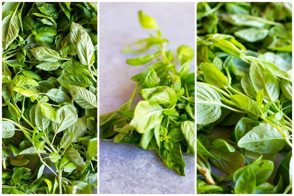 Basil Lemon and White Bean Toasts with Tomato Basil Collage