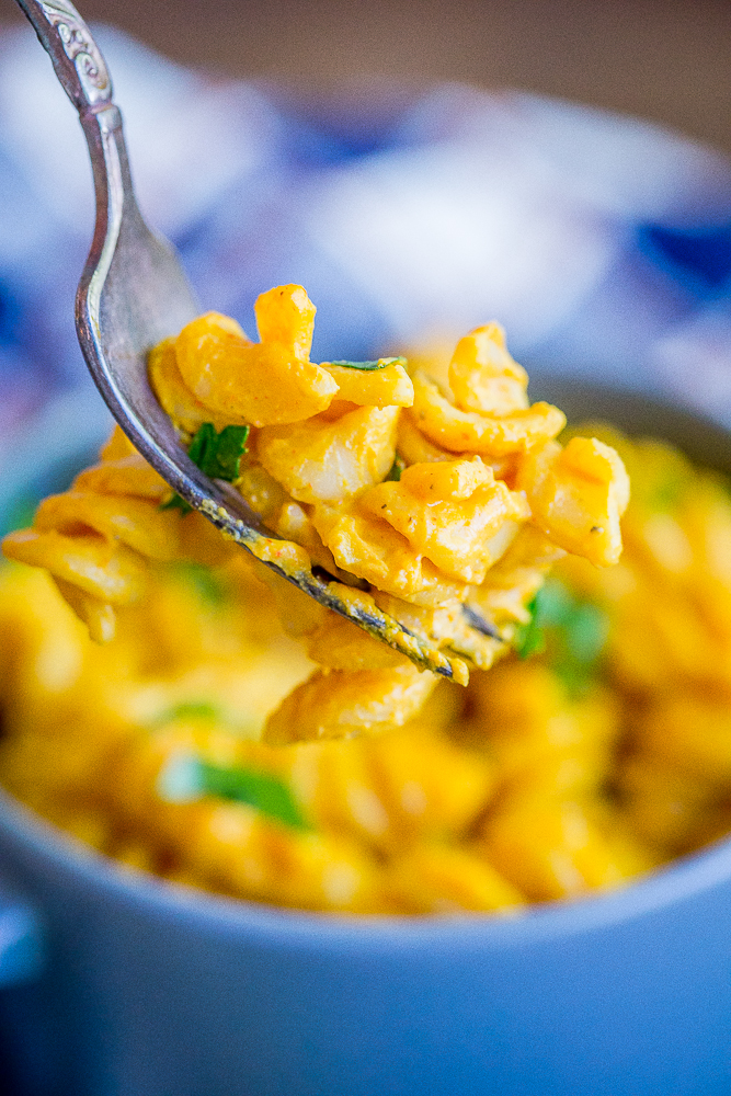 Zesty Pumpkin Mac N' Cheese {Vegan} She Likes Food