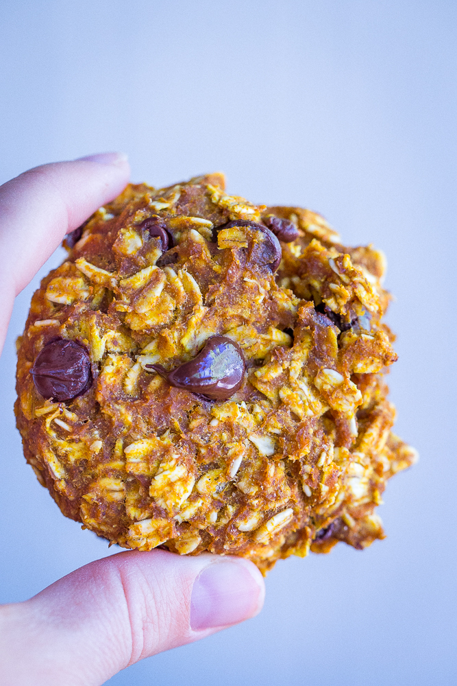 These Healthy Pumpkin Chocolate Chip Oatmeal Cookies are soft, delicious and packed with pumpkin pie flavor! They're great for breakfast or a healthy snack during the day! Gluten Free, Vegan