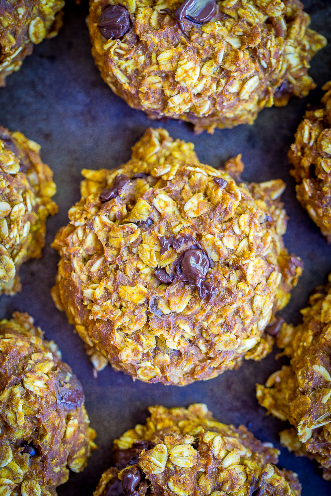 These Healthy Pumpkin Chocolate Chip Oatmeal Cookies are soft, delicious and packed with pumpkin pie flavor! They're great for breakfast or a healthy snack during the day! Gluten Free, Vegan