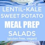 Lentil Kale Sweet Potato Meal Prep Salads Pinterest long pin