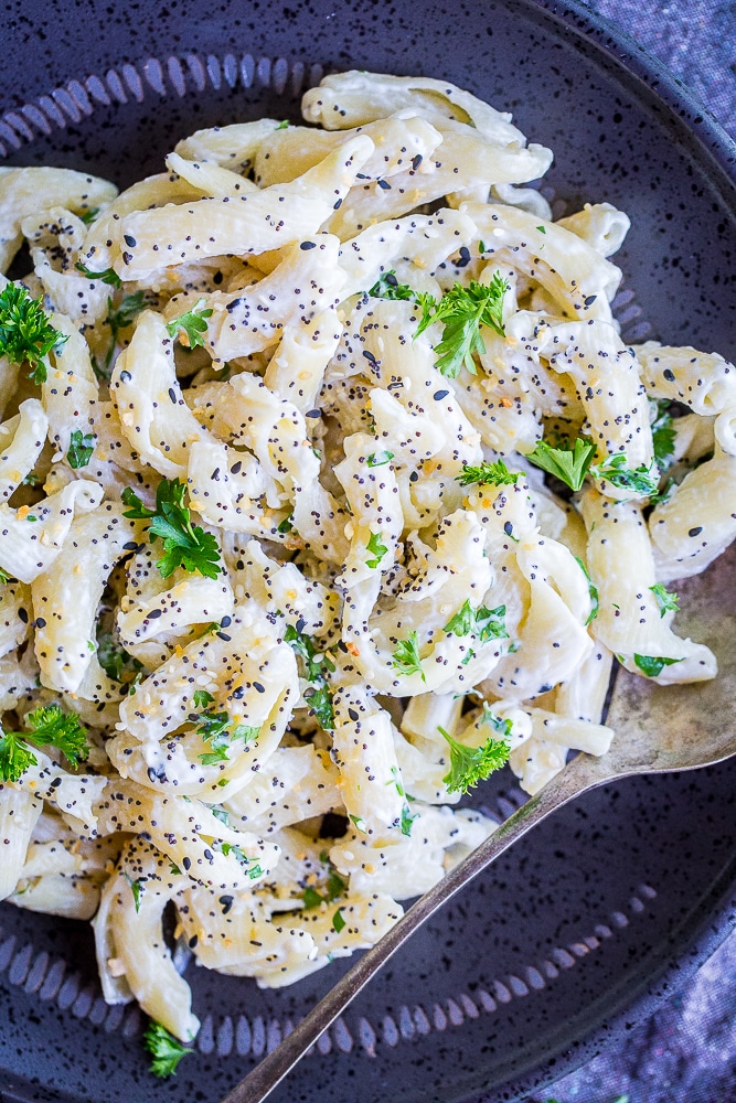 Close up of a plate of 30 Minute Creamy Goat Cheese Pasta with Everything Bagel Spice