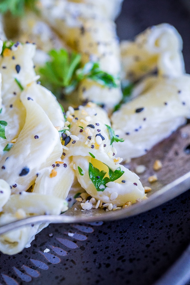 Close up of a noodle of 30 Minute Creamy Goat Cheese Pasta with Everything Bagel Spice