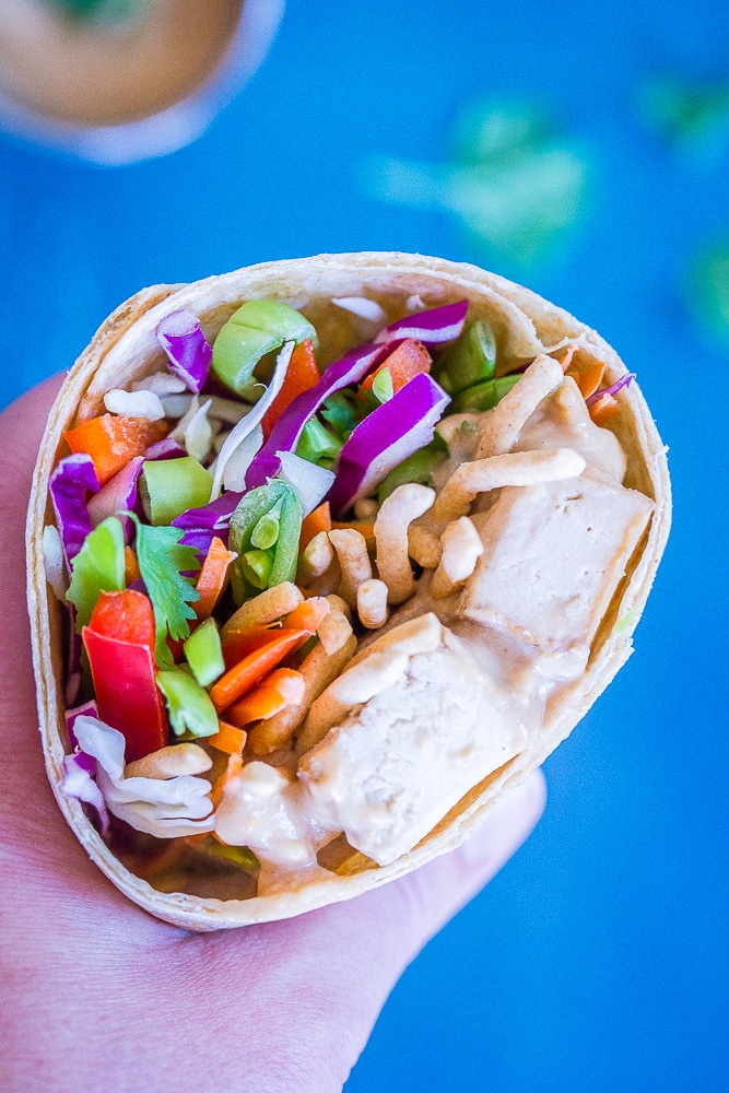 A hand holding these Crunchy Asian Tofu Peanut Wraps with a blue background.