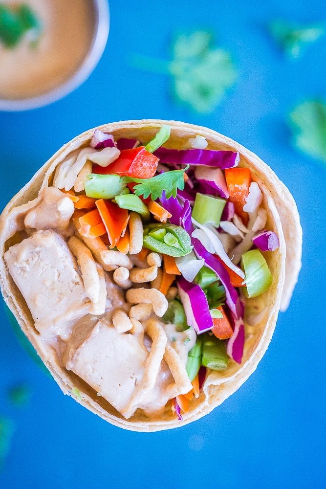 Close up of a Crunchy Asian Tofu Peanut wraps against a blue background