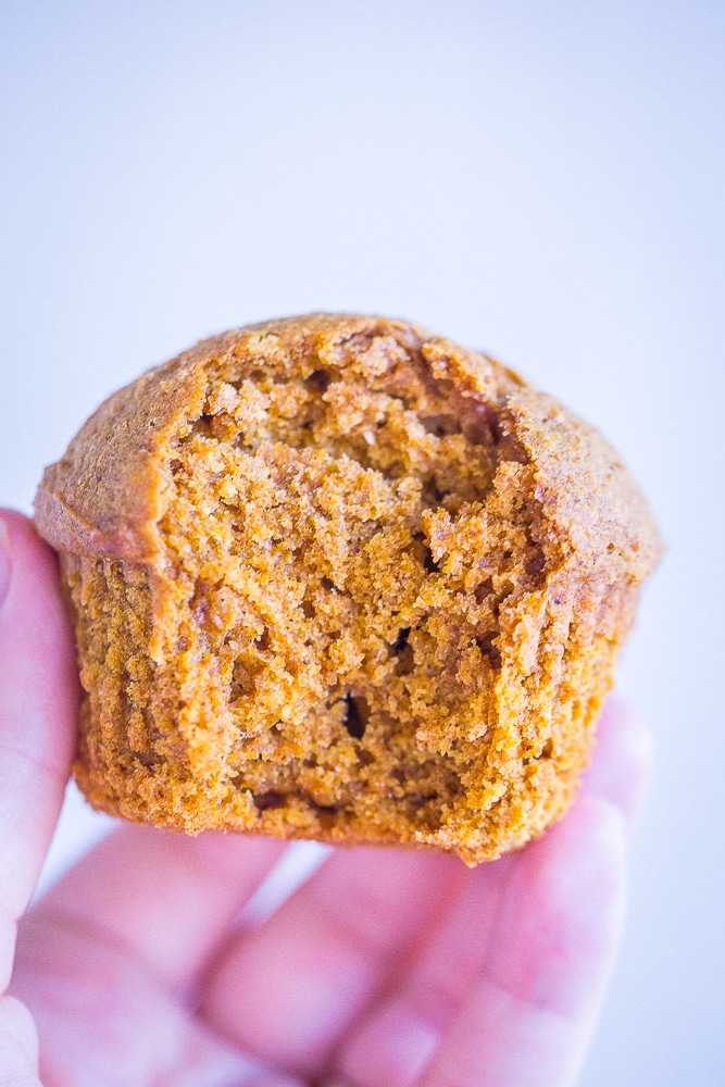 close up of a whole wheat pumpkin muffin with a bite taken out of it
