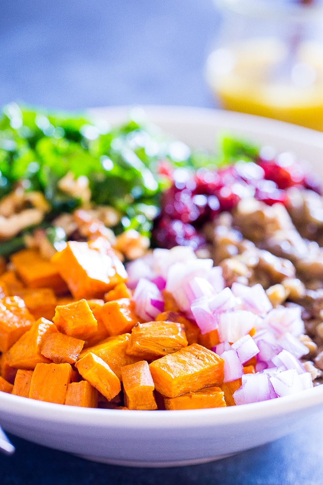 Front close up of Kale Salad with Sweet Potato and Lentils