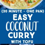 Pinterest collage pin for Easy Coconut Curry