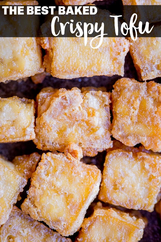 The BEST Crispy Tofu (Baked) - She Likes Food
