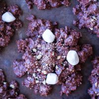 4 Ingredient No Bake S'mores Cookies