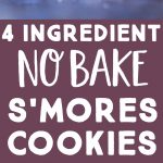 Pinterest long pin for No Bake S'mores Cookies