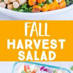 Pinterest collage pin for Fall Harvest Salad