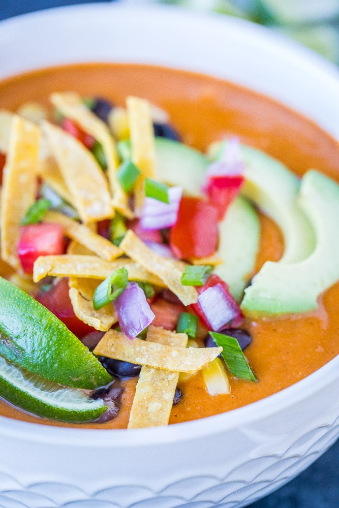 Close up view of a bowl of vegan tortilla soup