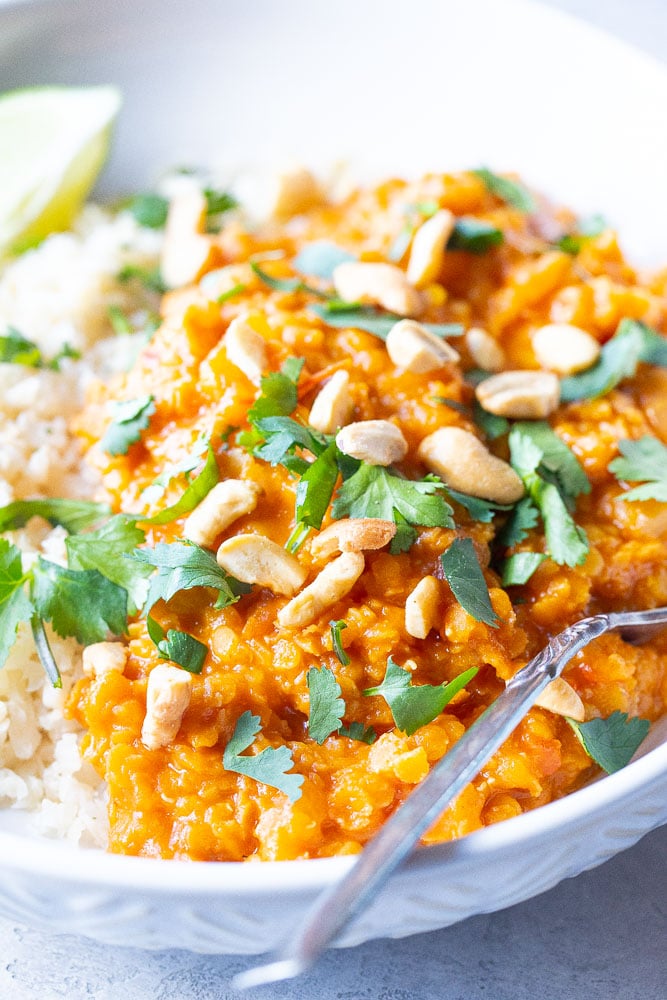 Close up photo of red lentil curry recipe