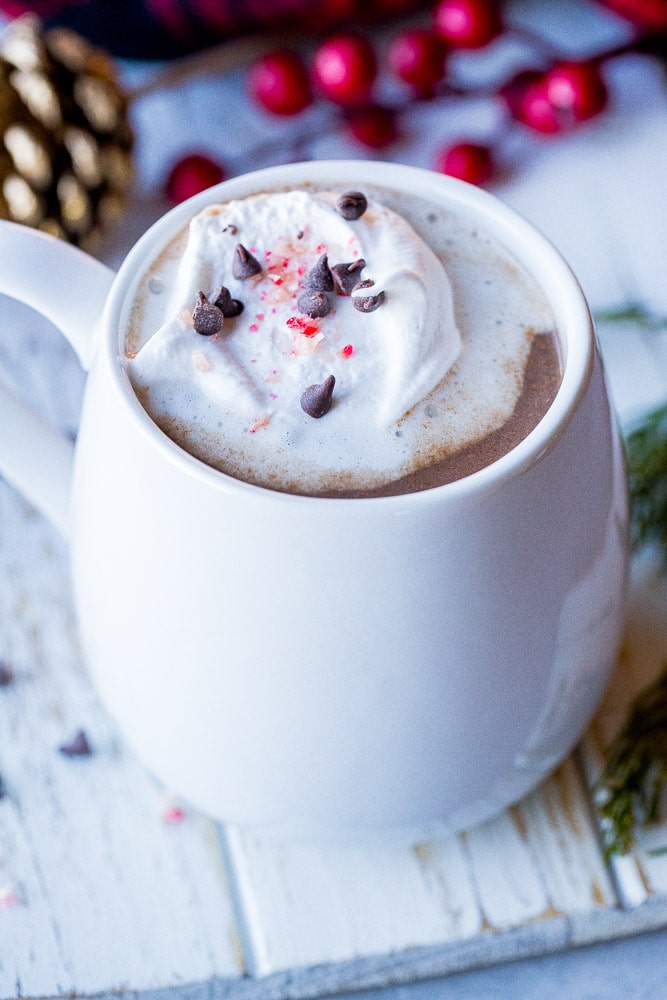 cup of creamy vegan hot chocolate with whipped cream and peppermint