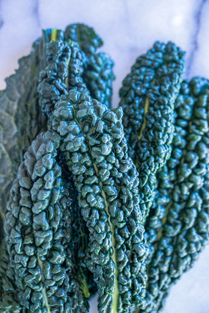 close up of Dino kale leaves