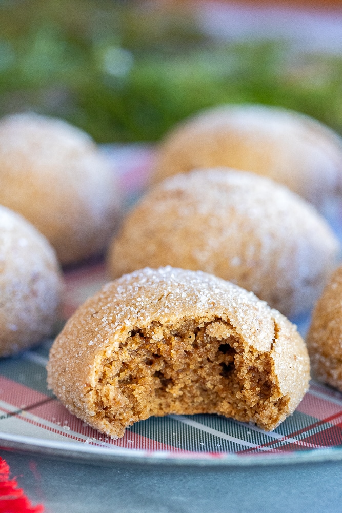 close up of a chewy maple cookie with a bite taken out of it