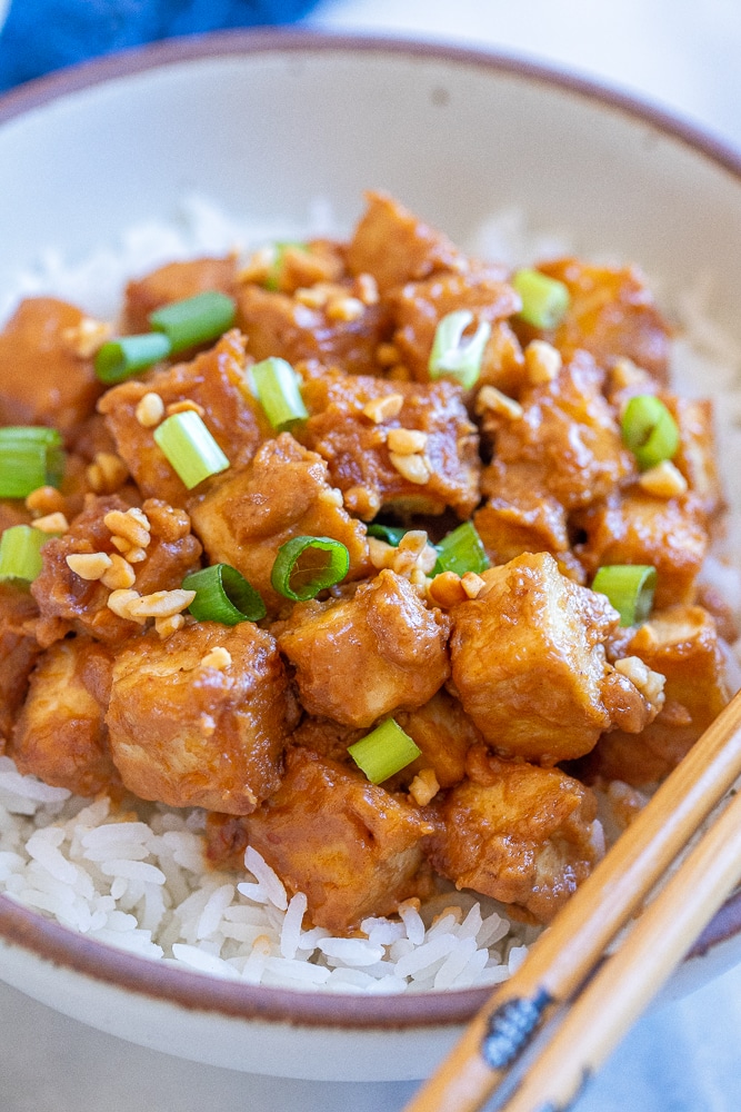 close up of a bowl of peanut butter tofu with green onion on top