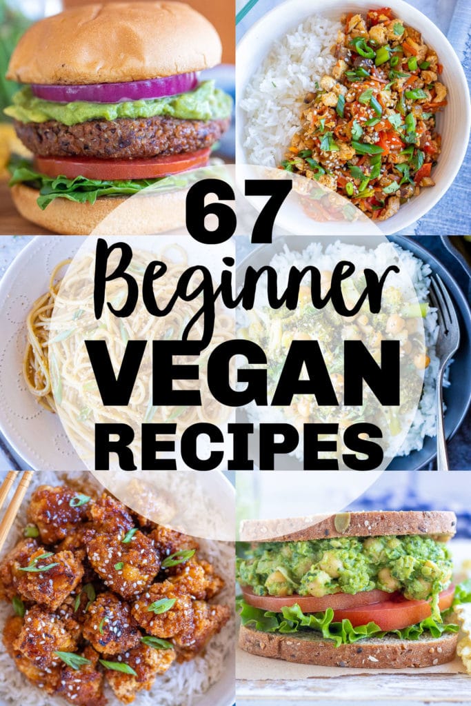 roundup photo of a six vegan recipes for 67 beginner vegan recipes