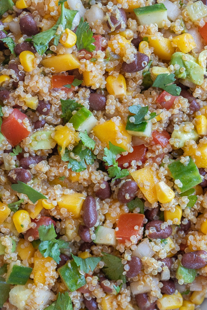 close up of mango black bean quinoa salad with cilantro