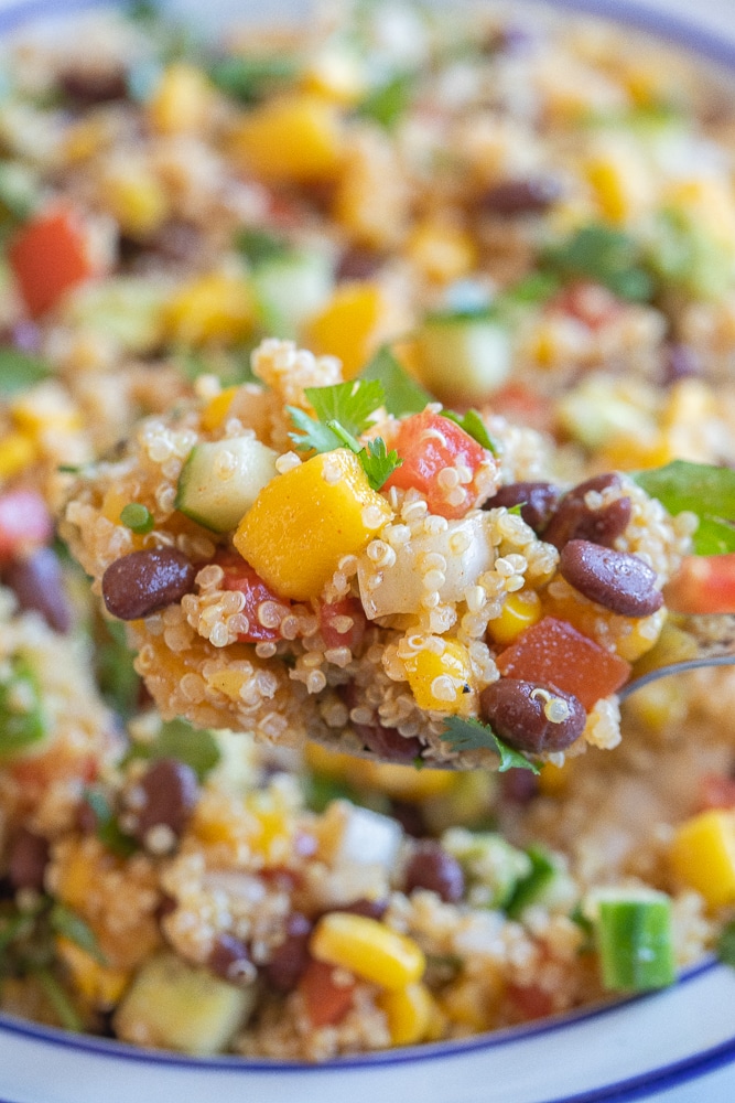 a spoon holding a spoonful of black bean quinoa salad