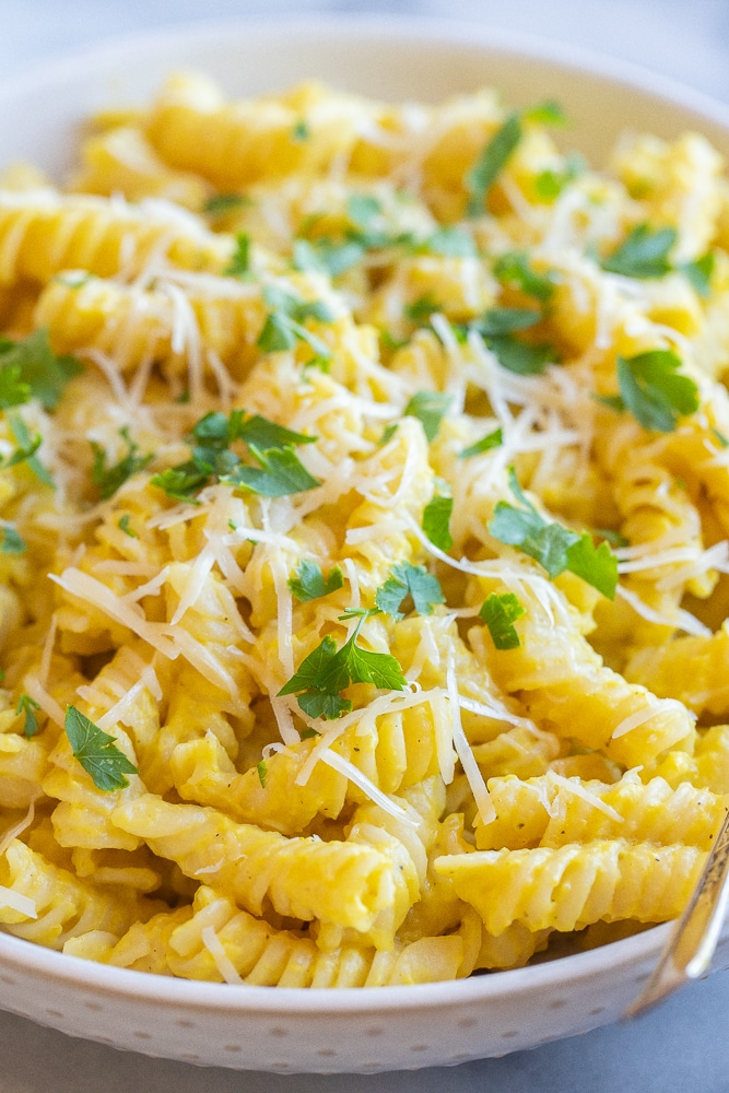 close up of creamy parmesan pasta with summer squash