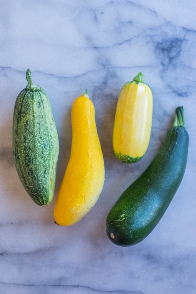 summer squash and zucchini picked from the garden