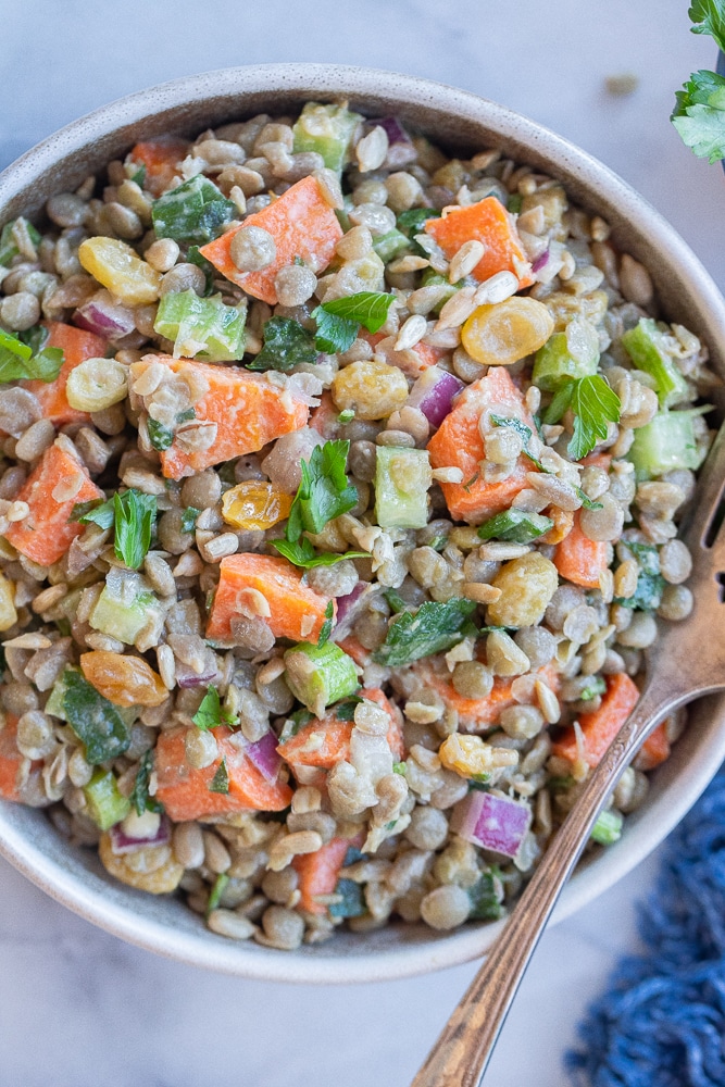 close up of a bowl of plant based lentil salad with roasted carrots and tahini dressing