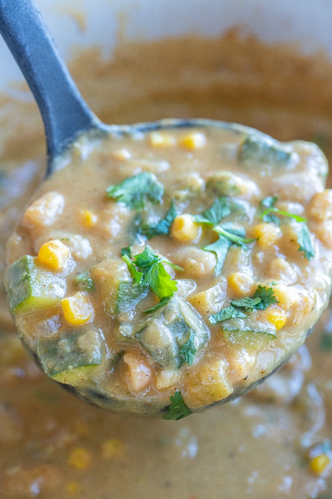 soup ladel filled with vegetarian white bean chili