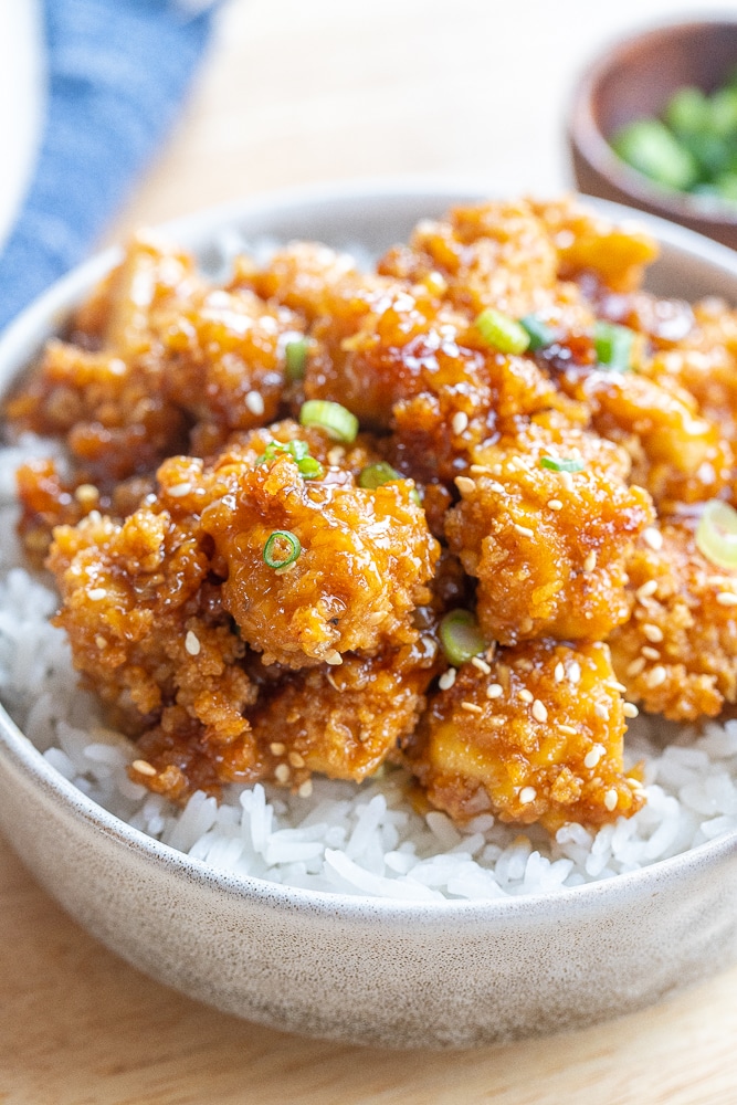 bowl with honey garlic tofu and white rice