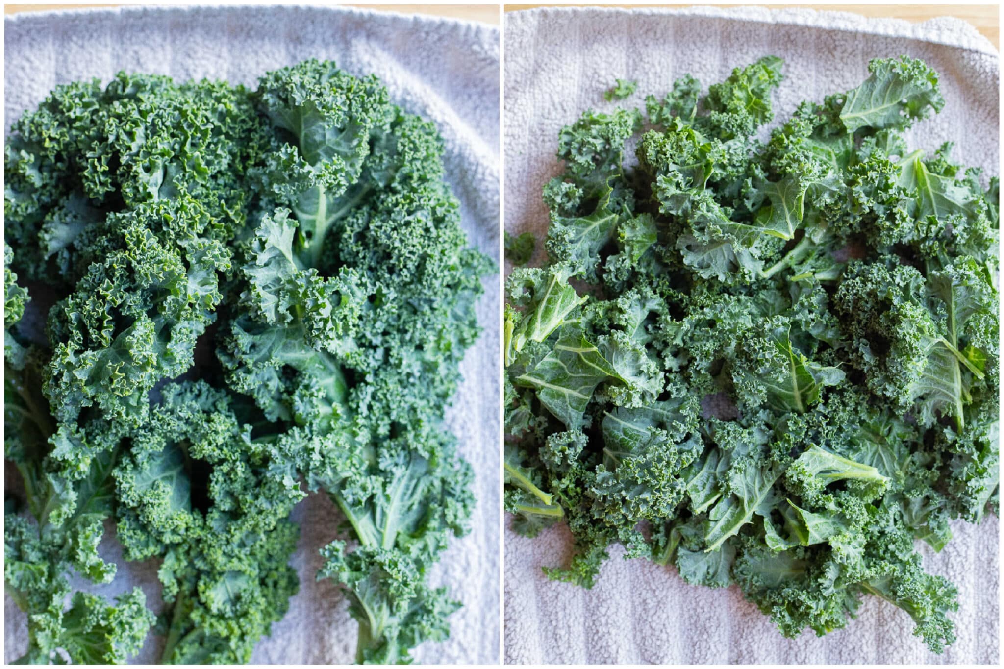 curly kale leaves torn into pieces