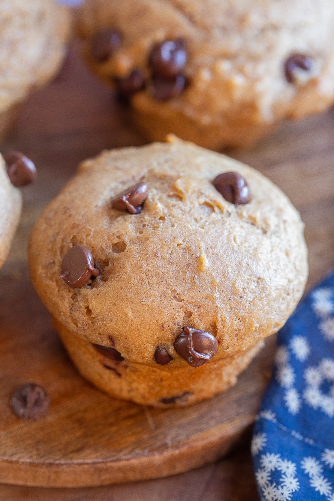 close up of a healthy chocolate chip muffin