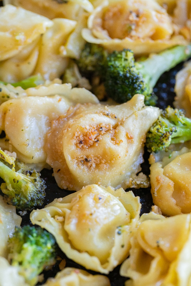 Close up of a garlic parmesan tortellini with broccoli