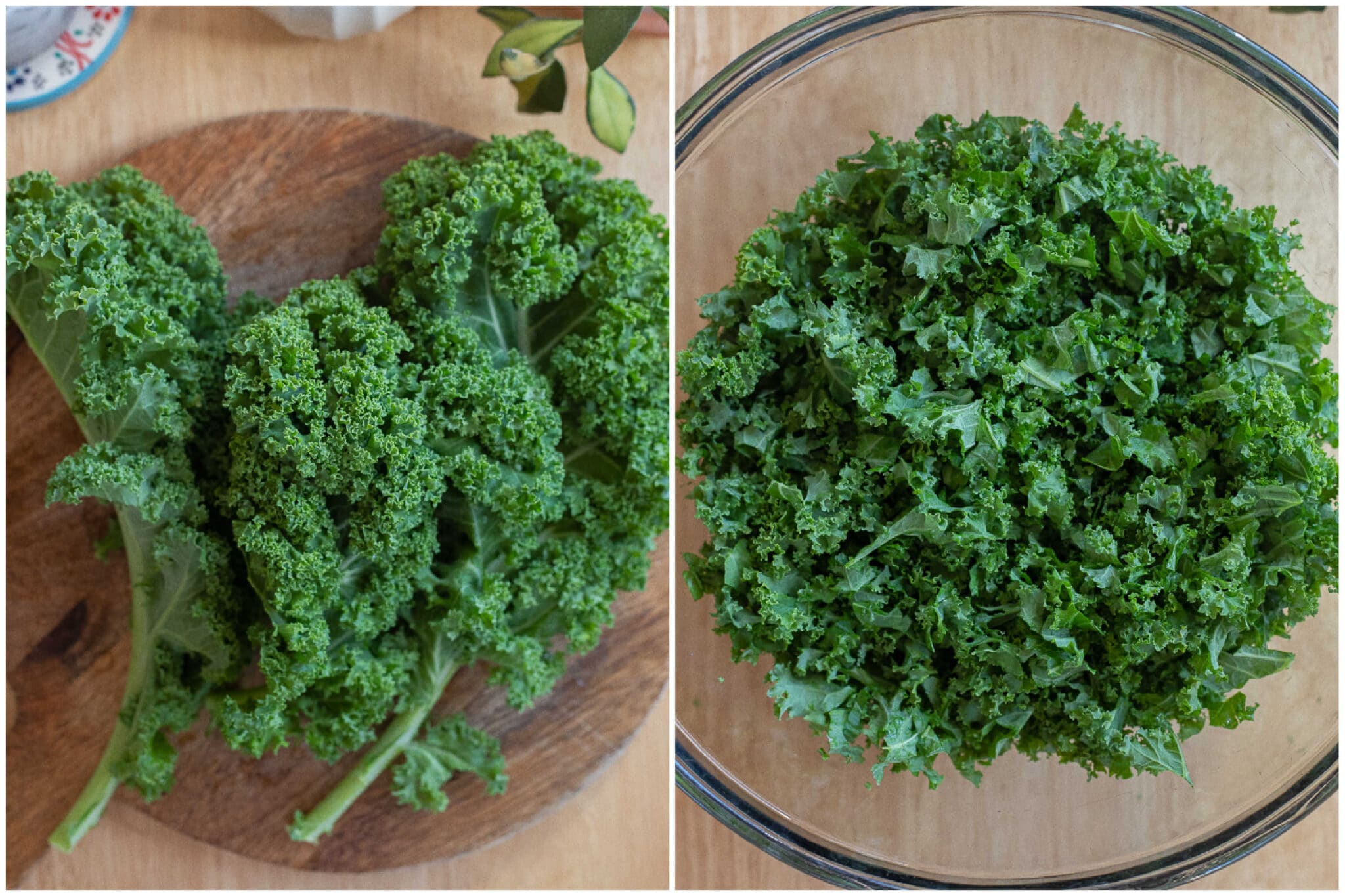 Curly kale leaves chopped up and put into a bowl