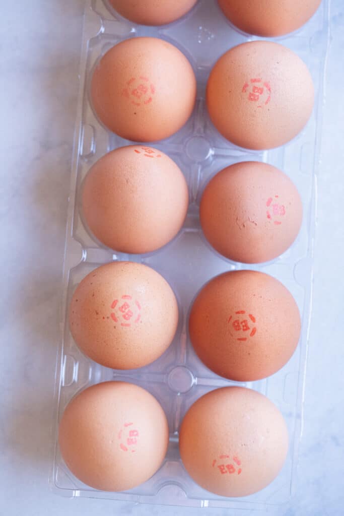 one dozen eggs in a container