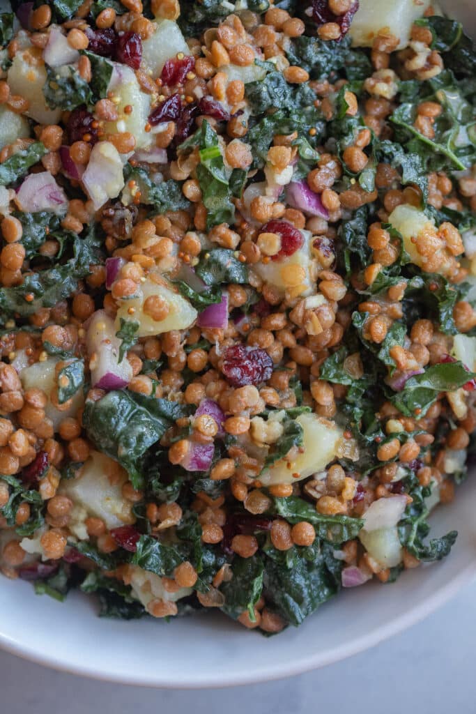 Close up of kale and lentil salad